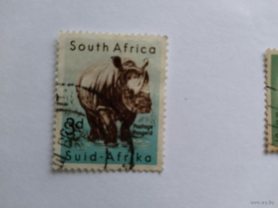 ЮАР 1954  носорог