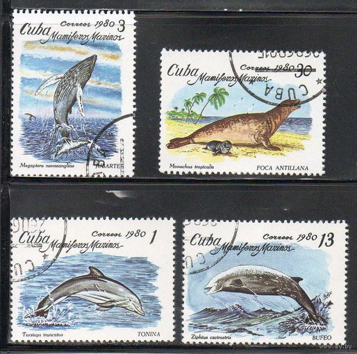 Морские животные Куба 1980 серия из 4-х марок