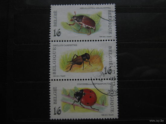 Марки - Бельгия, фауна, насекомые, жуки, 3 марки