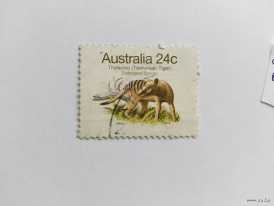 Австралия 1981 сумчат.волк