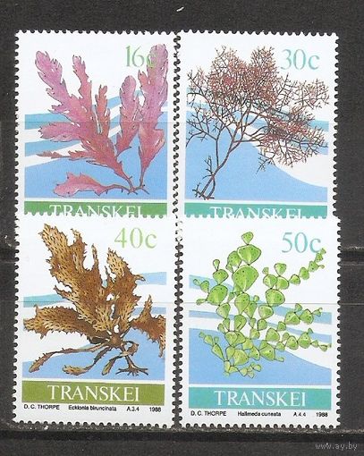 Транскей 1988 Растения