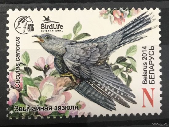 2014 Птица года в Беларуси - Обыкновенная кукушка
