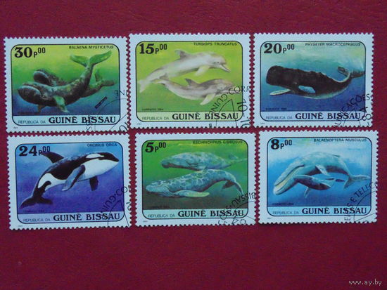 Гвинея-Бисау 1984г. Морская фауна.