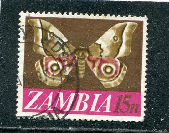 Замбия. Фауна. Бабочка