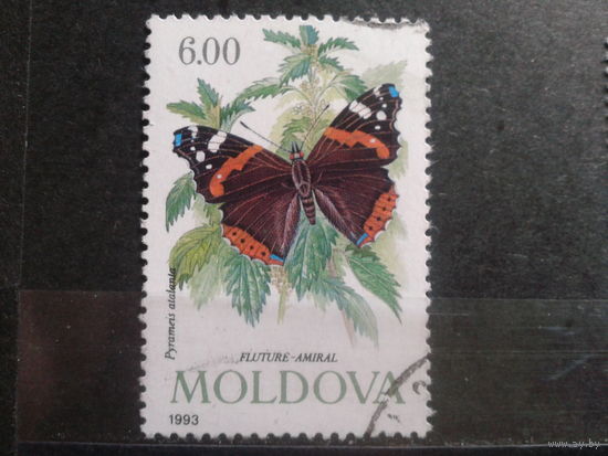 Молдова 1993 бабочка Адмирал