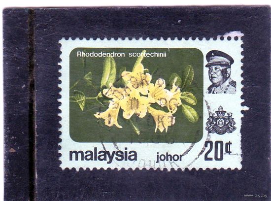 Малайзия. Джохор. Mi:MY-JO 173X. Цветы - Rhododendron scortechinii