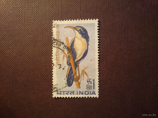 Индия 1968 г .Гималайская кривоклювая тимелия .