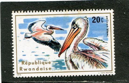 Руанда. Водоплавающие птицы. Розовый пеликан