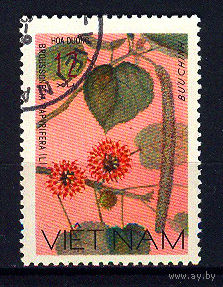 1977 Вьетнам. Бруссонетия бумажная