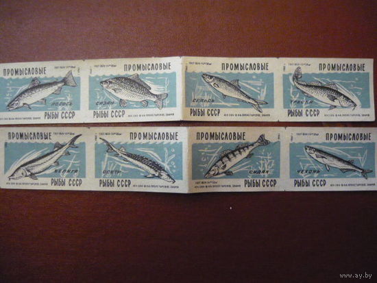 Спичечные этикетки:Промысловые рыбы СССР.Чудова