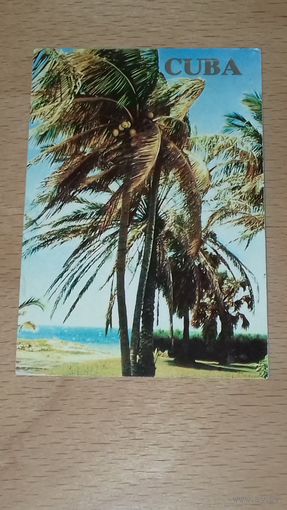 Календарик 1985 Куба. Напечатан в СССР