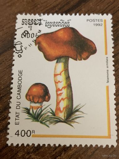 Камбоджа 1992. Грибы. Telamonia armilata. Марка из серии