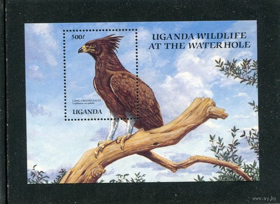 Уганда, Фауна. Гребенчатый орел. Блок
