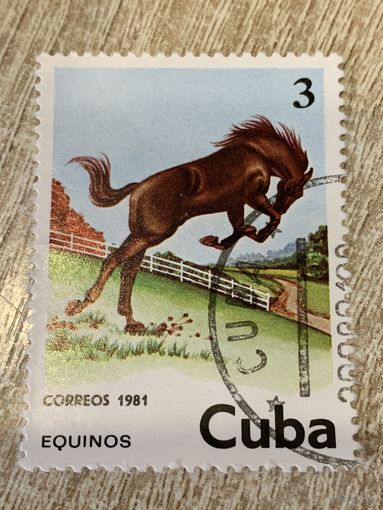 Куба 1981. Лошадь. Марка из серии