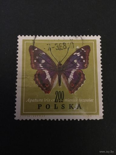 Бабочки. Польша,1967, марка из серии
