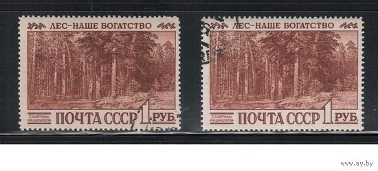СССР-1960, (Заг.2381),   гаш.(с клеем) , Шишкин, Лес, Живопись, 2 типа-разный фон
