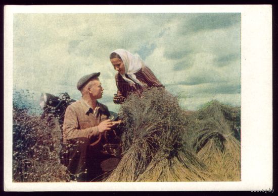 1957 год На полях колхоза Новогрудского района