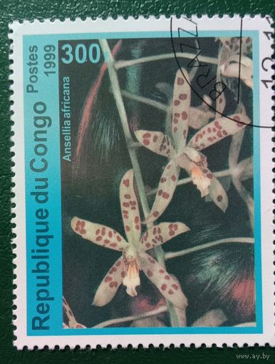 Конго 1999 Цветы