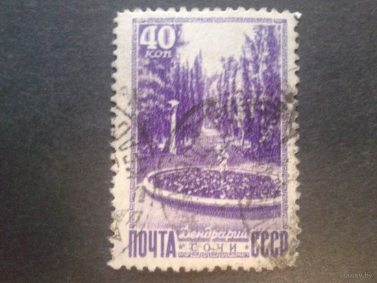 СССР 1949 Сочи, дендрарий