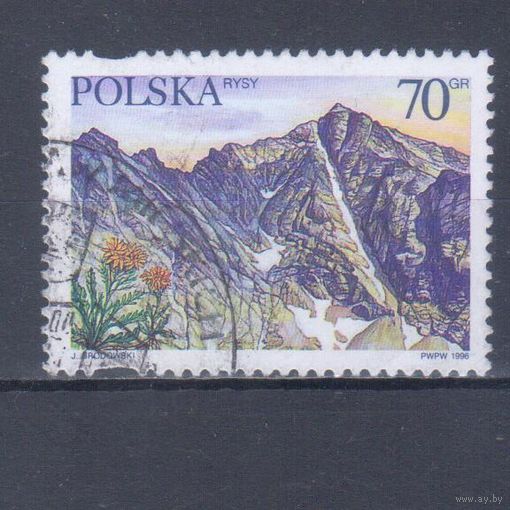 [1698] Польша 1996. Природа.Ландшафт.Горы. Гашеная марка.