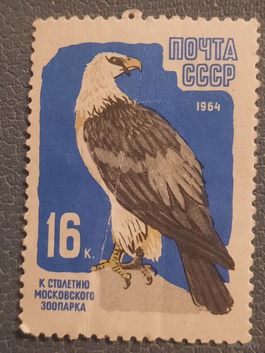 СССР 1964. Белоголовый орлан. Марка из серии