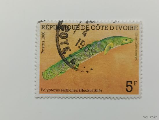 Кот-д'Ивуар 1986. Рыбы
