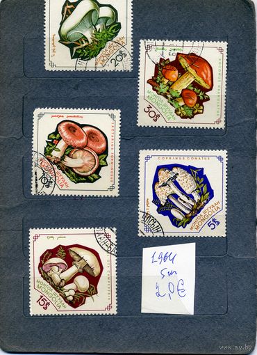 МОНГОЛИЯ, 1964, грибы,    5м  гащеная