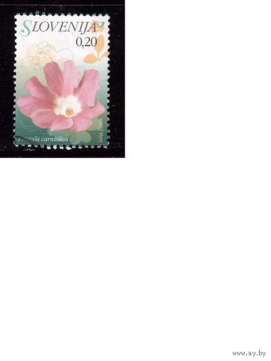 Словения-2006 (Мих.613) ,  гаш. , Флора, Цветы