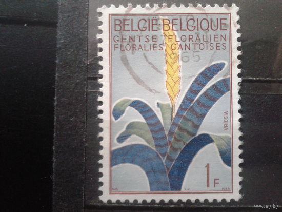 Бельгия 1965 Цветок
