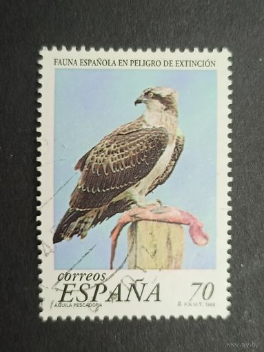 Испания 1999. Редкие животные