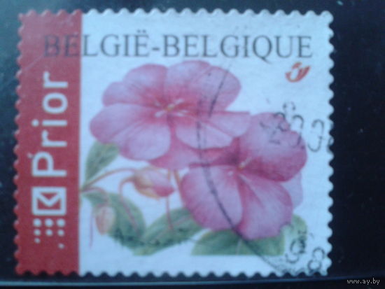 Бельгия 2004 Стандарт, цветы