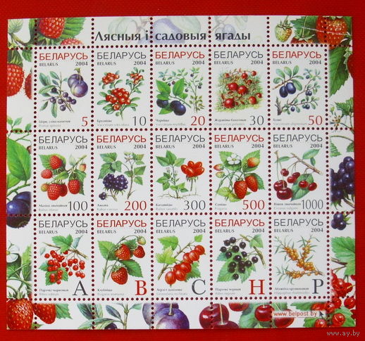 Беларусь. Лесные и садовые ягоды. ( Малый лист ) 2004 года.