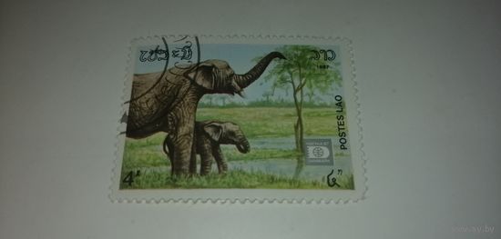 Лаос 1987. Слоны