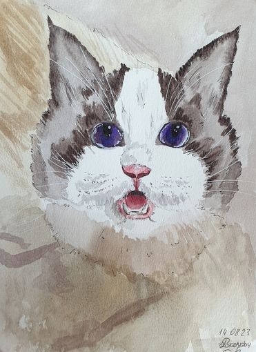 Картина "Котик"