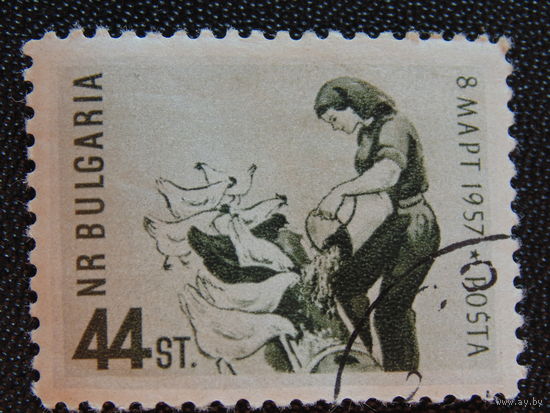 Болгария 1957 г. Фауна.