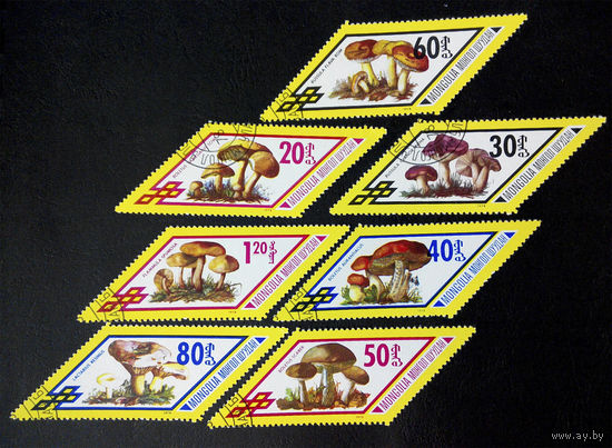 Монголия 1978 г. Грибы. Флора, полная серия из 7 марок #0186-Ф1