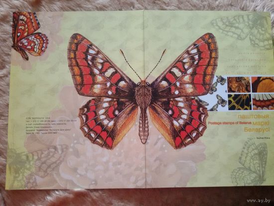 Бабочки 2004. Обложка к буклету (А)
