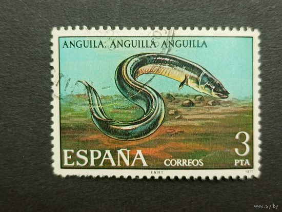 Испания 1977. Пресноводная рыба
