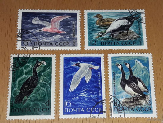 СССР 1972 Фауна Водоплавающие птицы Полная серия 5 марок