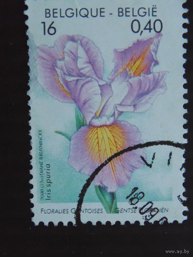Бельгия 2000 г. Цветы.