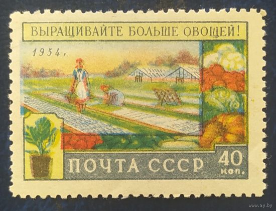 СССР 1954 Сельское хозяйство, клей