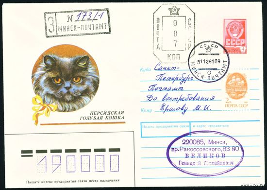 СССР 1990-1991 гг Художественный маркированный конверт ХМК с провизориями Персидская голубая кошка