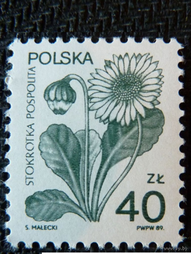Польша 1989 г. Mi 3214 Флора Цветы стандартный выпуск MNH