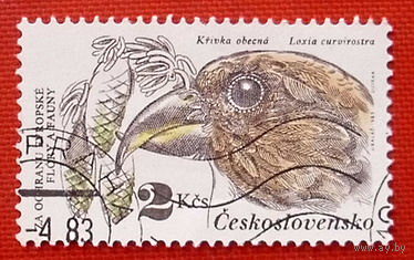 Чехословакия. Птица. ( 1 марка ) 1983 года.