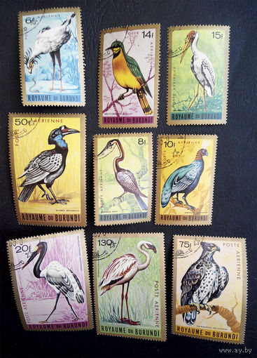 Бурунди 1965 г. Птицы. Фауна #0077-Ф1