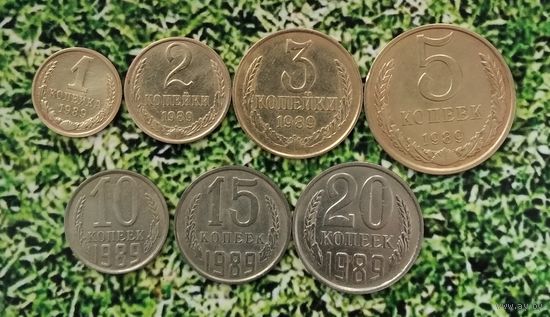 Сборный лот монет СССР 1989 года (всего 7 штук).