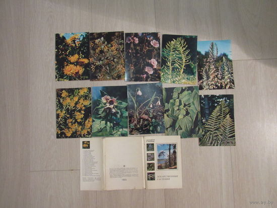 "Экскурсия в природу. Лекарственные растения" Набор из 25 открыток
