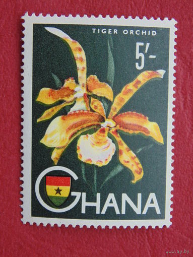 Гана. Цветы.