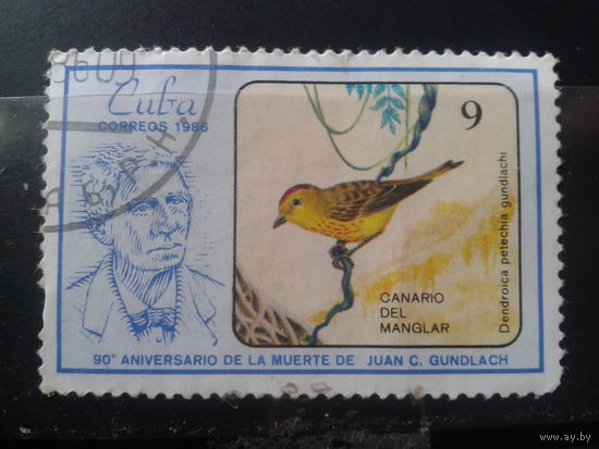 Куба 1986 Птица