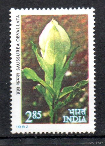 Цветы Индия 1982 год 1 марка